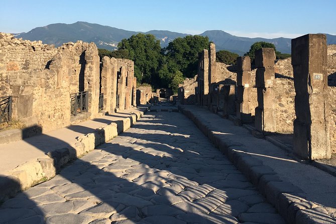 Pompeii and Herculaneum With Archaeologist, Small Group of 10!!! - Travel Tips and Recommendations