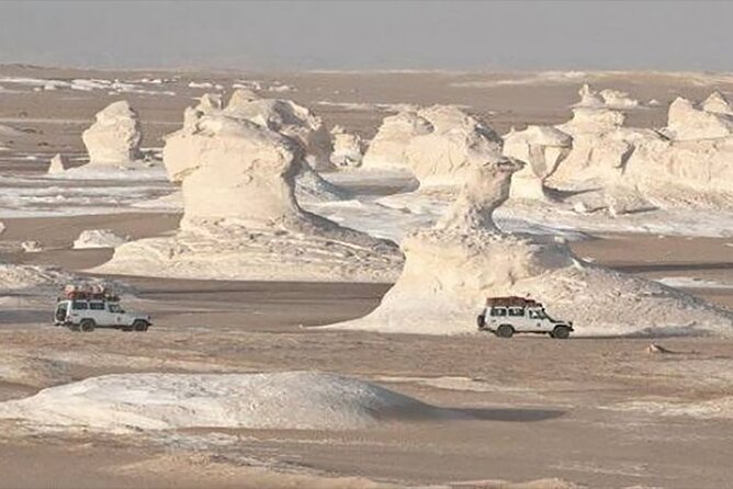 Private 2 Days Jeep Safari to White Desert and Bahariya Oasis - Customer Reviews