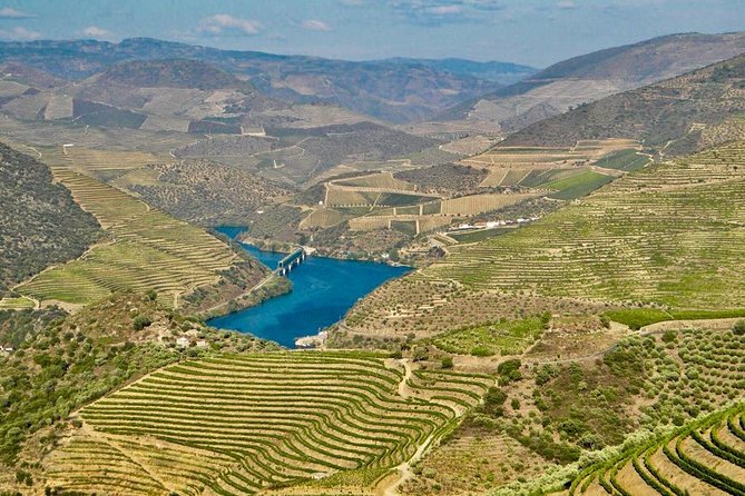 Private Douro Valley - Senses Experiences - Booking and Pricing Details