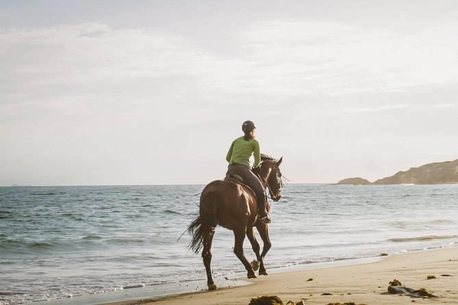 Private Photo Session With a Local Photographer in Estepona