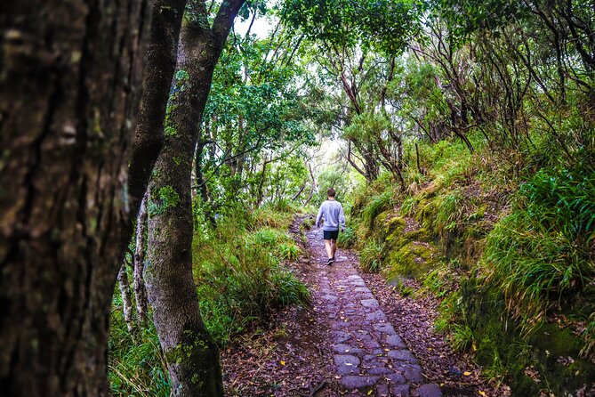 Private Sunrise Pico Do Areeiro Half Day With Easy Levada Walk - Pricing Information