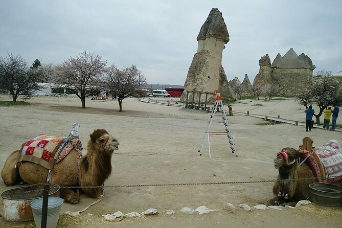 Private Tour: Cappadocia Express - Contact Information