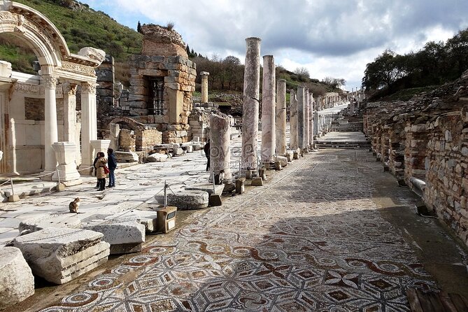 Private Tour to Ephesus, Virgin Mary, and Artemis Temple From Cruise Ship/Hotel - Common questions