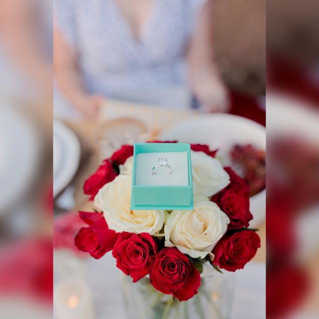 Proposal Luxury Picnic - Important Tips & Recommendations