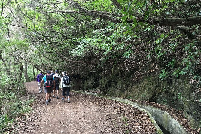 Ribeiro Frio to Portela Levada Walk - Last Words