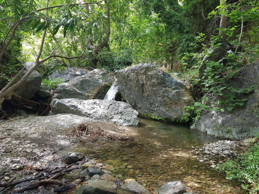 Richtis Waterfall and North Coast Tour - Highlights of the Tour