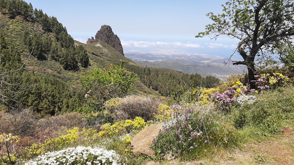 Roque Nublo & Gran Canaria Highlights by 2 Native Guides - Last Words