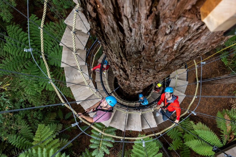 Rotorua: Redwoods Altitude High Ropes Adventure - Additional Tips