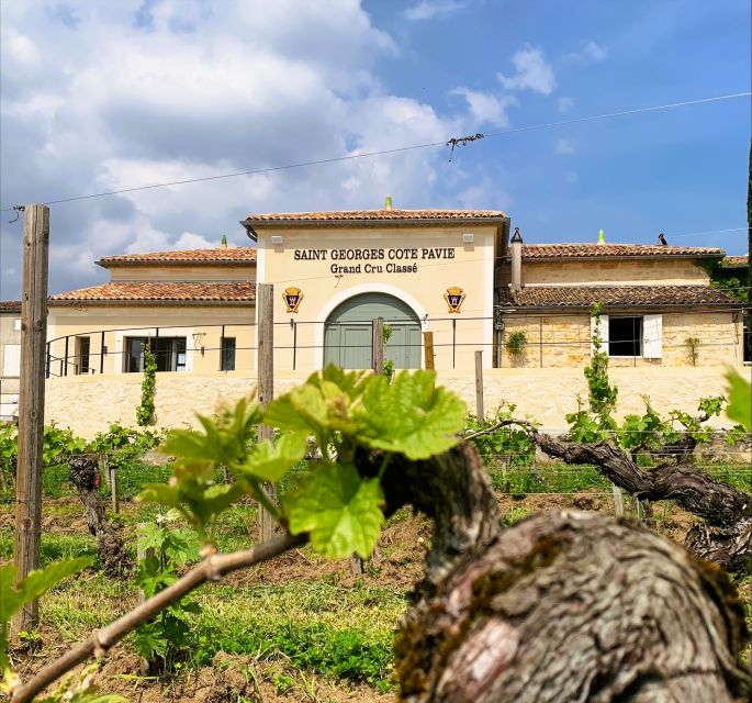 Saint-Émilion: Bordeaux Vineyard Tour and Wine Tasting - Last Words