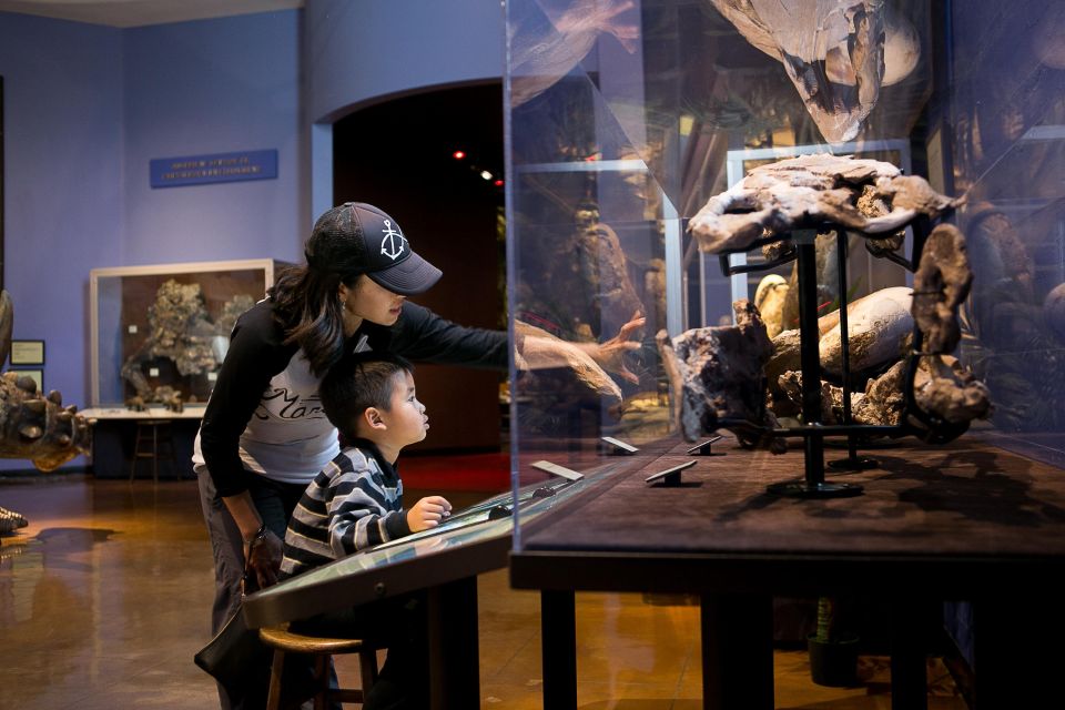 San Diego: Nighttime at the San Diego Natural History Museum - Common questions