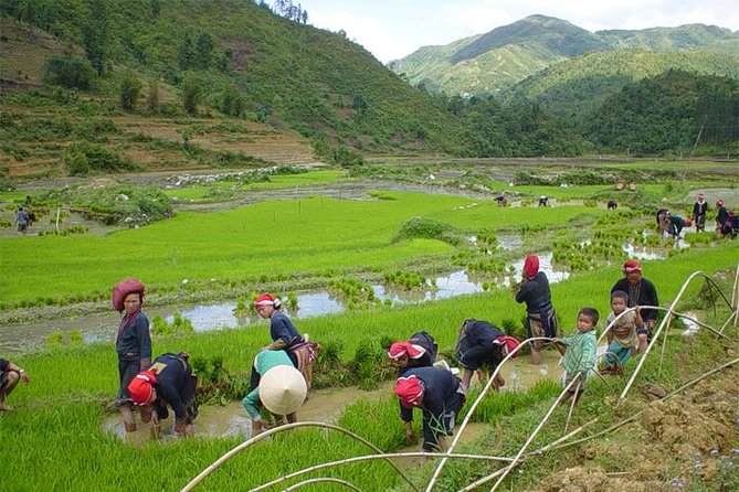 Sapa Hard Trekking Villages 2d/1n: Homestay, Meals, English Speaking Guide - Common questions