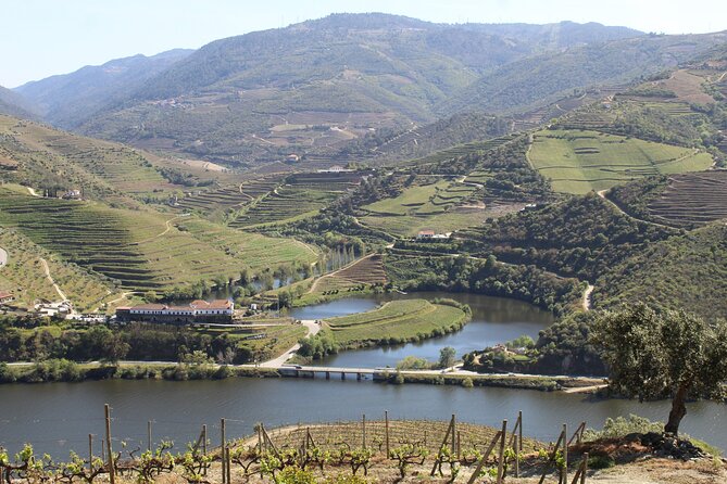 Tour the Douro Wine Region, and Discover the Fantastic Landscape - Tour Itinerary Overview