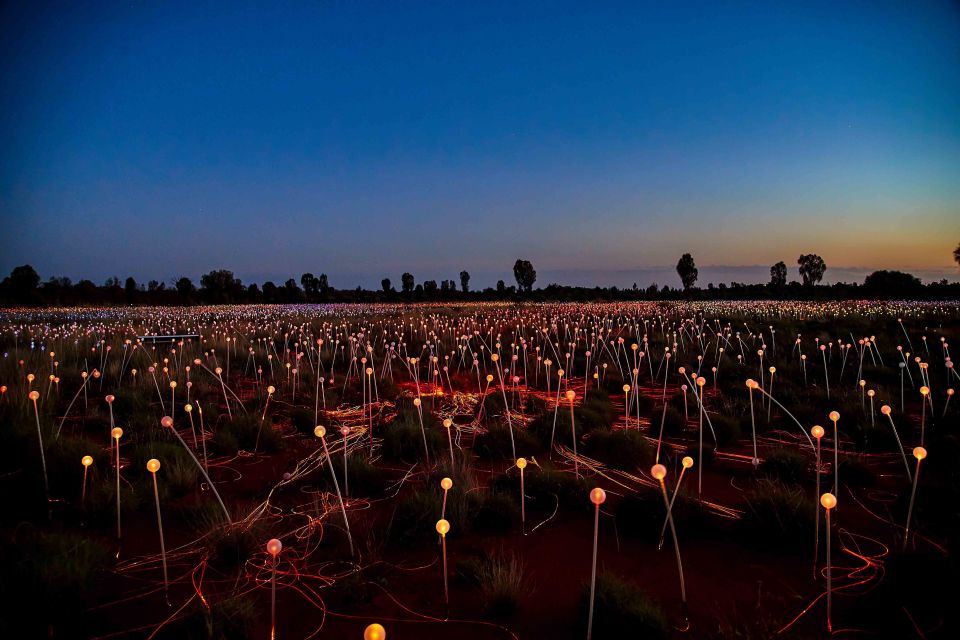 Uluru: Field of Light Sunrise Tour With Hot Drinks - Customer Feedback