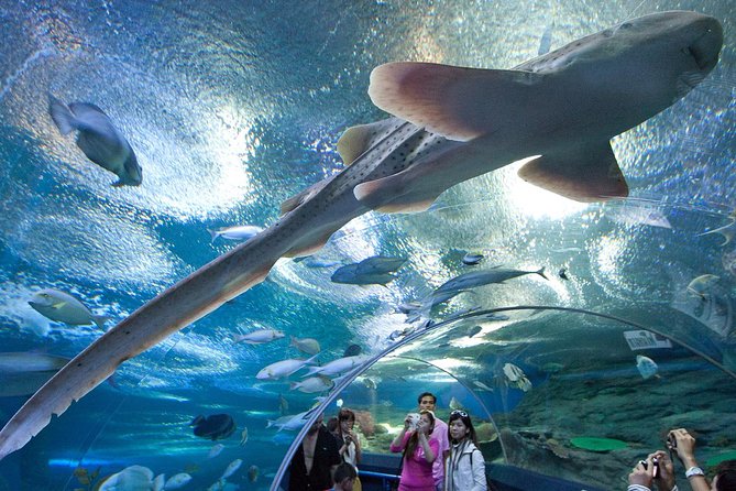 Underwater World at Pattaya Admission Ticket - Additional Cancellation Information