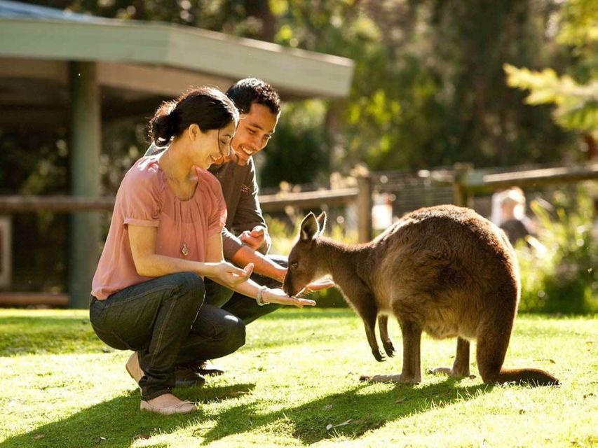 Very Best of Perth - Wildlife Park & City Highlights Tour - Features and Group Size