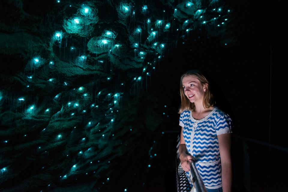 Waitomo: Ruakuri Cave 1.5 Hour Guided Tour - Location and Meeting Point