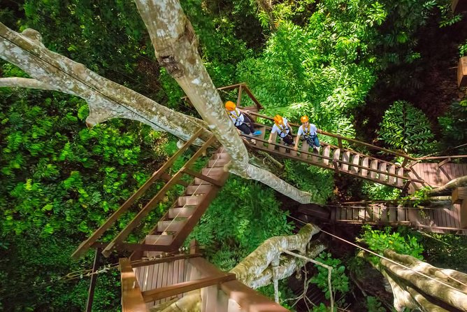 Zipline Adventure 32 Platforms Roller Skywalk - Last Words