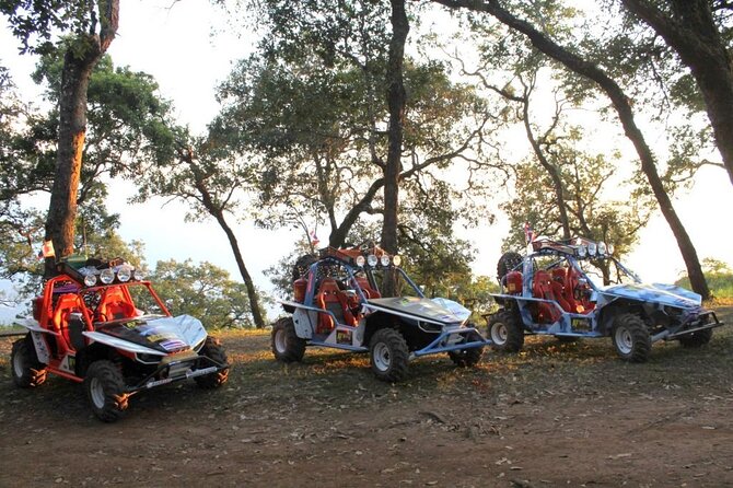 1 Hr Chiang Mai Buggy Tour (Off-Road) - Additional Information