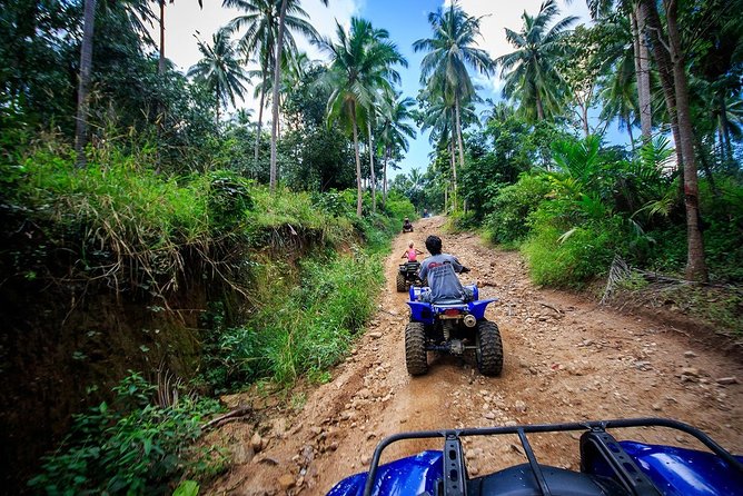 2 Hours ATV Quad Bike Popular Tour From Koh Samui - Reviews and Ratings Overview