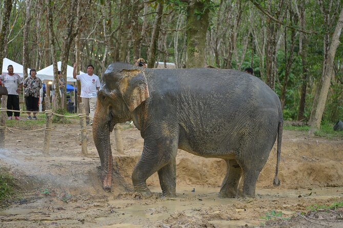4 Hours Tour With Khaolak ATV Quad Bike and Rescued Elephant - Directions and How to Book