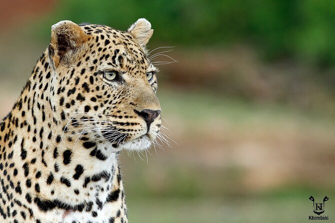 5 Day Kruger Park Classic Safari - Booking Information