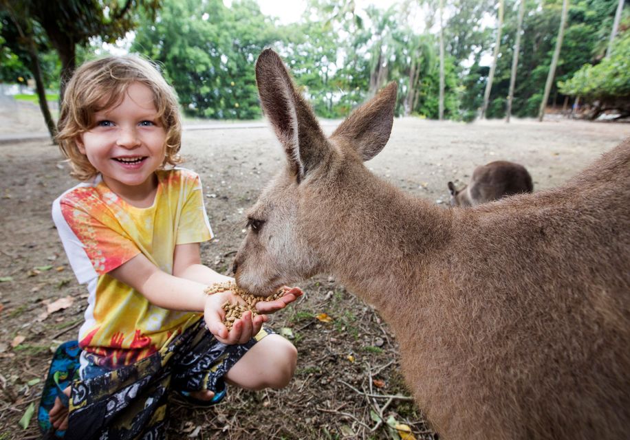 7B - Wildlife Tour & Mossman Gorge - Customer Reviews