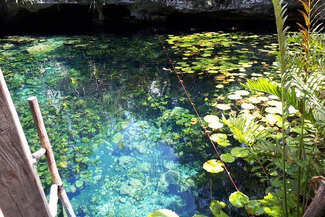 Akumal, Cenote Taak Bi Ha Private Tour From Playa Del Carmen - Last Words