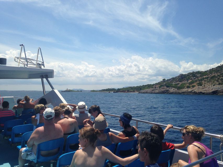 Alcudia: 2-Hour Glass Bottom Boat Trip to Coll Baix - Traveler Types