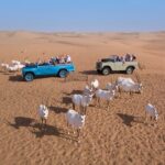 7 bedouin culture desert safari in dubai Bedouin Culture Desert Safari in Dubai