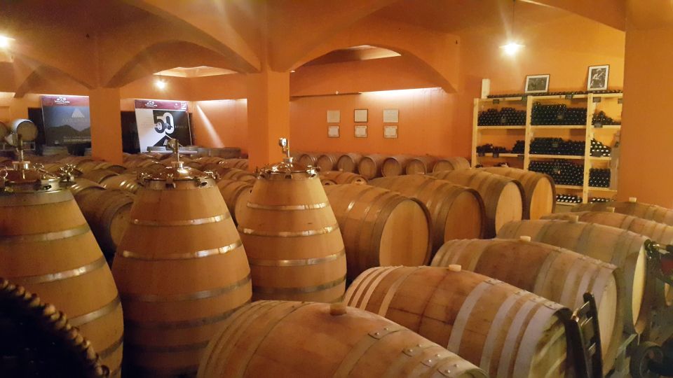 Best Wines of Heraklion Crete - Half Day Tasting Group Tour - Experience Itinerary