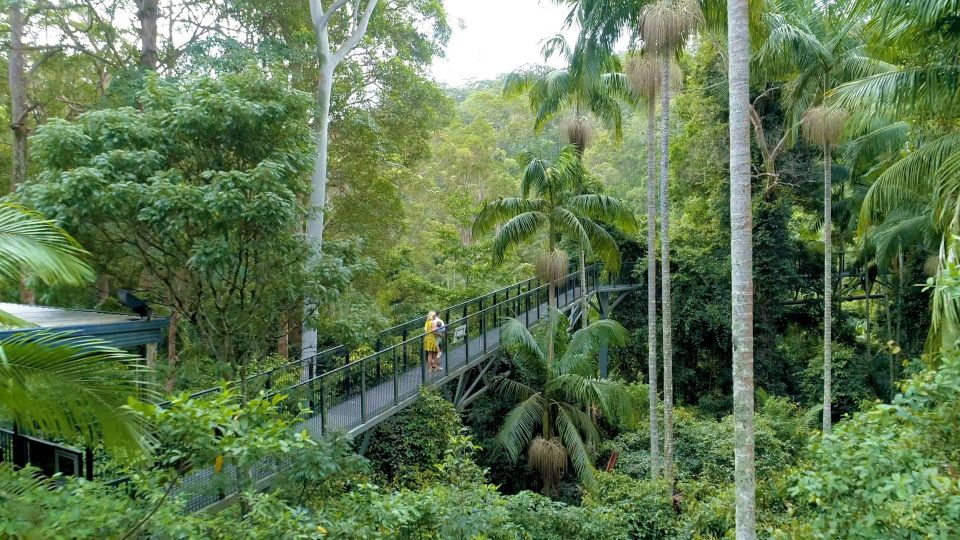 Brisbane: Daytime Glow Worm Caves Hop-on Hop-off Bus Tour - Directions