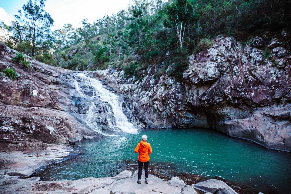 Brisbane: Hop on Hop off Bus to Tamborine Mountain - Customer Testimonial