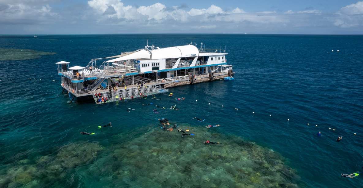 Cairns: Great Barrier Reef Cruise With Water Activities - Last Words