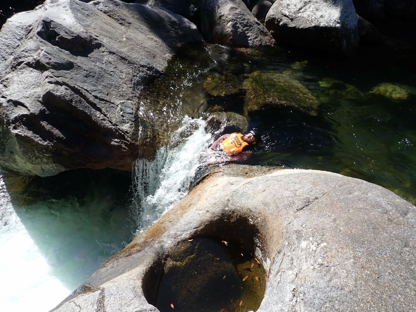 Cairns: Waterfalls Rainforest Experience - Last Words