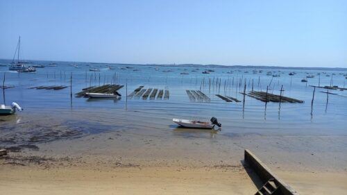 Cap-Ferret With Oysters Tasting - Guest Feedback on Oysters Tasting