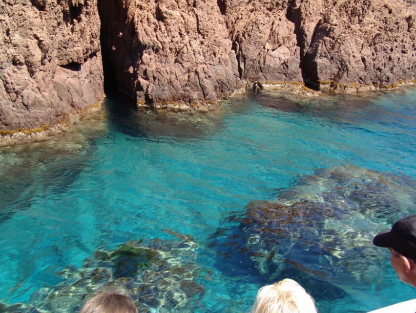 Cargèse:Scandola/Piana/Stop in Girolata Half-Day on RIB Boat - Common questions