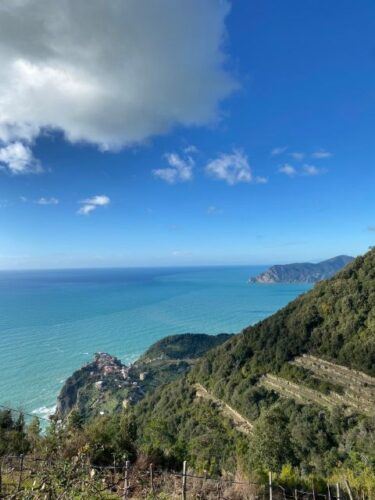 Cinque Terre Tour by Shuttle From Lucca, Pisa or La Spezia - Drop-off Locations and Local Specialties