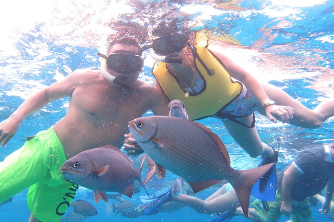 Cozumel Snorkeling Tour at Palancar & Colombia Reefs and El Cielo - Common questions