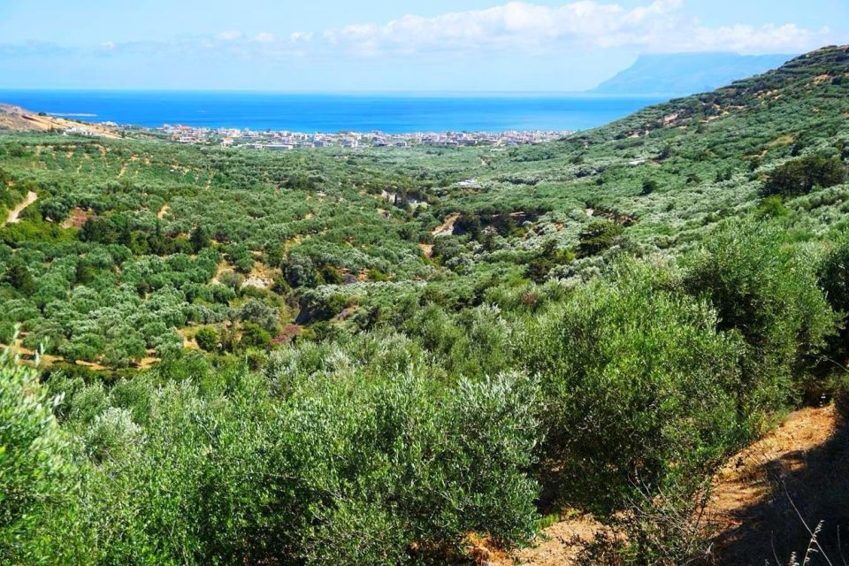 Crete Olive Oil Tasting ,Wine, Raki, and Cretan Food! - Highlights