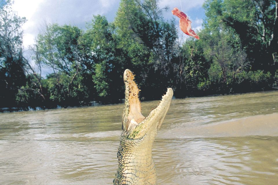 Darwin: Adelaide River Half-Day Jumping Crocs Cruise - Booking Information