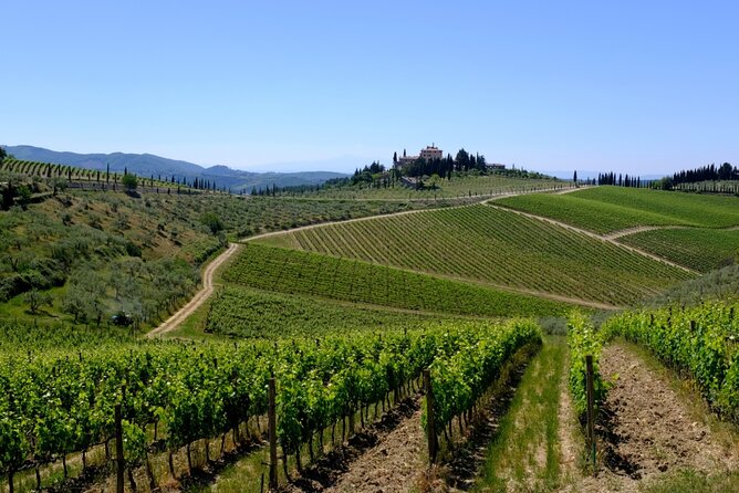 Discovering Chianti: Sunset Ebike Tour and Dinner - Common questions