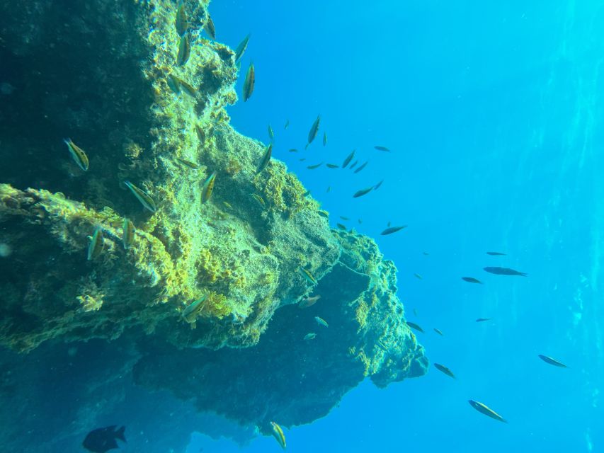 Diving Course for Beginners in Turtle Area Tenerife - Additional Information