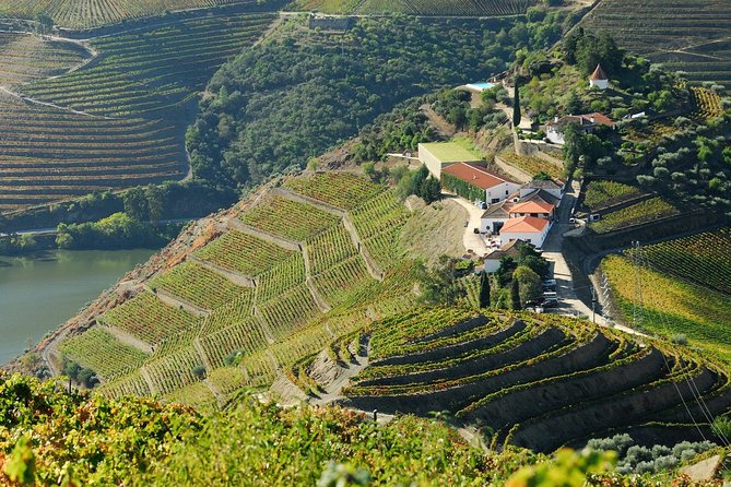 Douro Valley Private Day Tour From Porto - Common questions