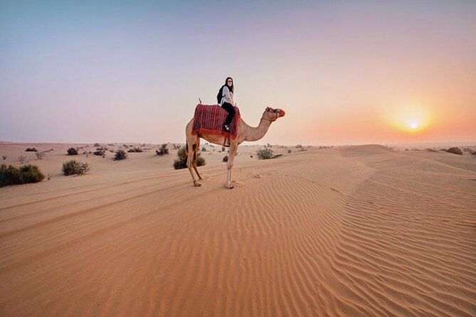 Dubai Red Sand Desert Adventure - Last Words