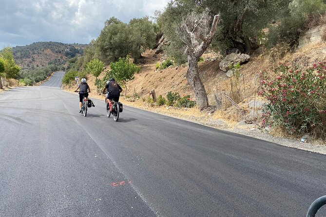 E-Bike Tour With Wine Tasting in Dafnes, Heraklion - Itinerary Details