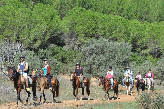 Ephesus Full-Day Tour With Horse Safari From Kusadasi Cruise Port Max 10 People - Additional Assistance & Offers