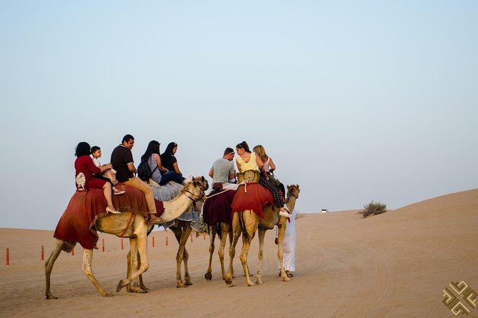 Evening Desert Safari in Dubai With Private 2way Transfers - Customer Reviews