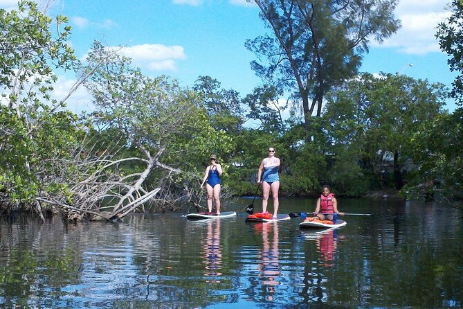 Fort Lauderdale Bonnet House Ground and Guided Paddle Board Kayak - Weather Dependency