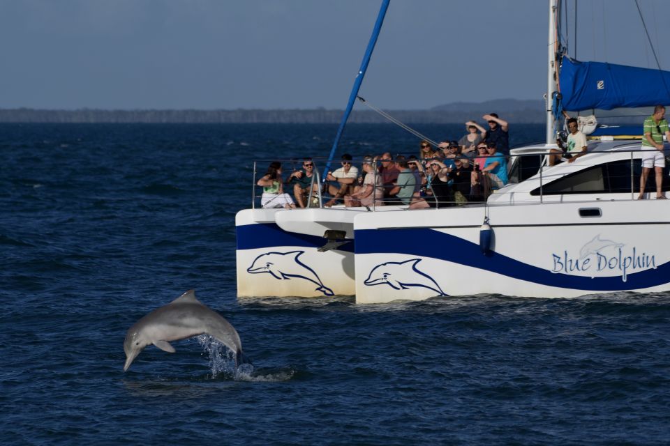 Fraser Island 4-Hour Eco-Sailing Adventure - Reservation Details