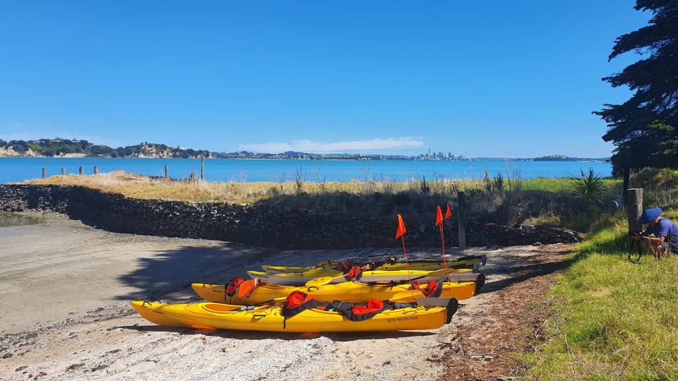 From Auckland: Browns Island Motukorea Sea Kayak Tour - Starting Times